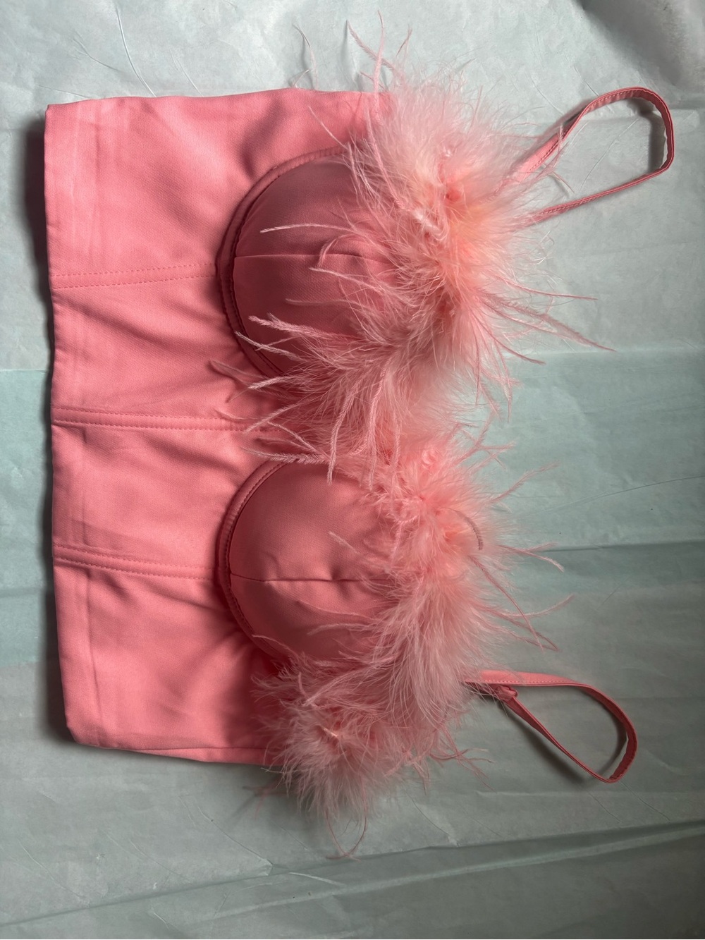 Windsor Pink Feather Trim Crop Bustier Top